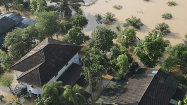 Surat Thani’s agri-sector suffering significant losses due to floods Surat Thani’s agri-sector suffering significant losses due to floods