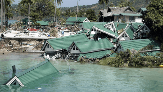 In memory of the tsunami 20 years later