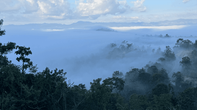 Most of Thailand will continue to see cool weather this weekend
