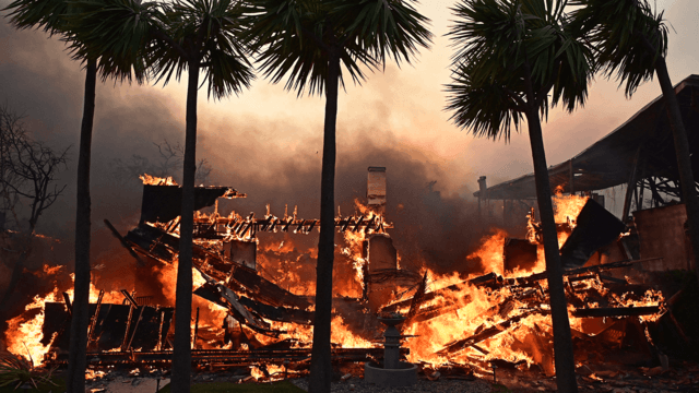 At least five people killed in Los Angeles wildfires