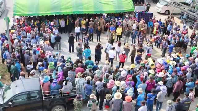 Rice farmers in Nakhon Sawan rally against falling paddy prices Rice farmers in Nakhon Sawan rally against falling paddy prices