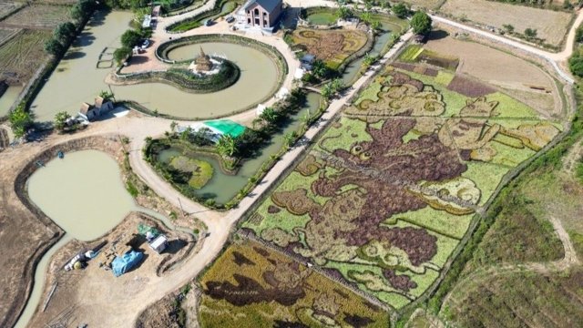 Rice fields turned into art in northern Thailand