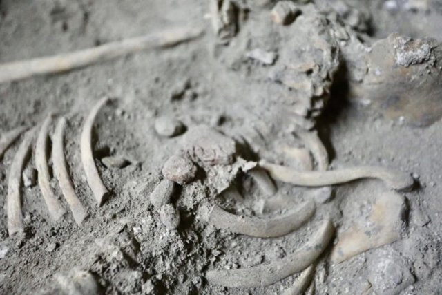 Ancient child skeleton, nicknamed 'Pangpond,' unearthed in Thailand, rewriting prehistory Ancient child skeleton, nicknamed 'Pangpond,' unearthed in Thailand, rewriting prehistory