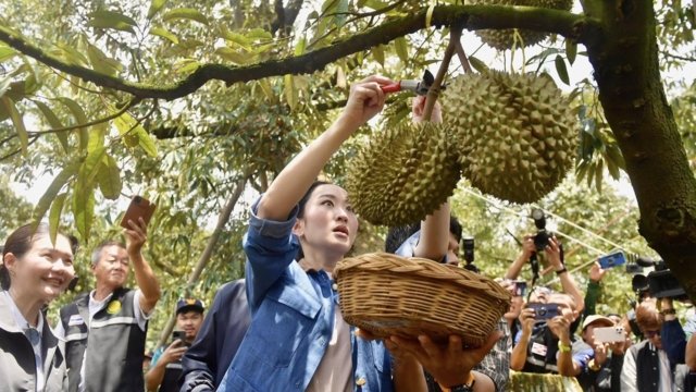 Fruit growers seek help from PM to tackle falling prices and declining exports