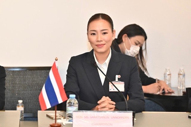 Foreign affairs chair calls for maturity in resolving Thailand–Cambodia dispute