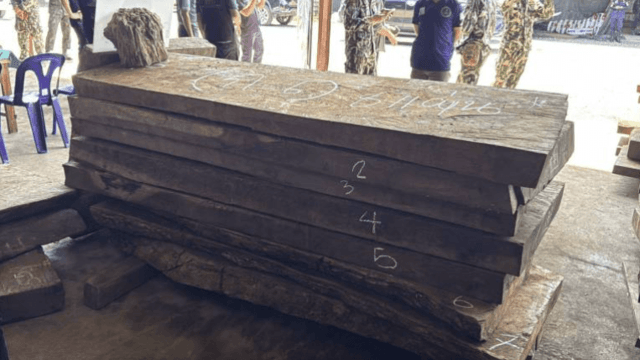 Burma padauk timber worth Bt14m seized in Nong Khai Burma padauk timber worth Bt14m seized in Nong Khai