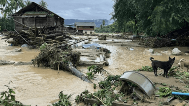 Mudslide kills woman in Mae Hong Son
