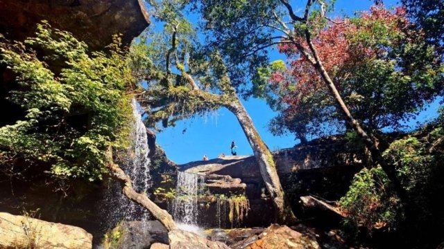 Waterfalls in Phu Kradueng National Park reopen to tourists after a year of closures Waterfalls in Phu Kradueng National Park reopen to tourists after a year of closures