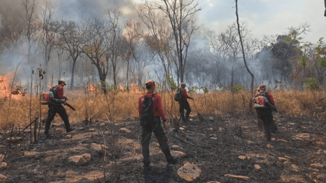 Forest fires damage about 800 hectares of deciduous forest in Nakhon Ratchasima Forest fires damage about 800 hectares of deciduous forest in Nakhon Ratchasima