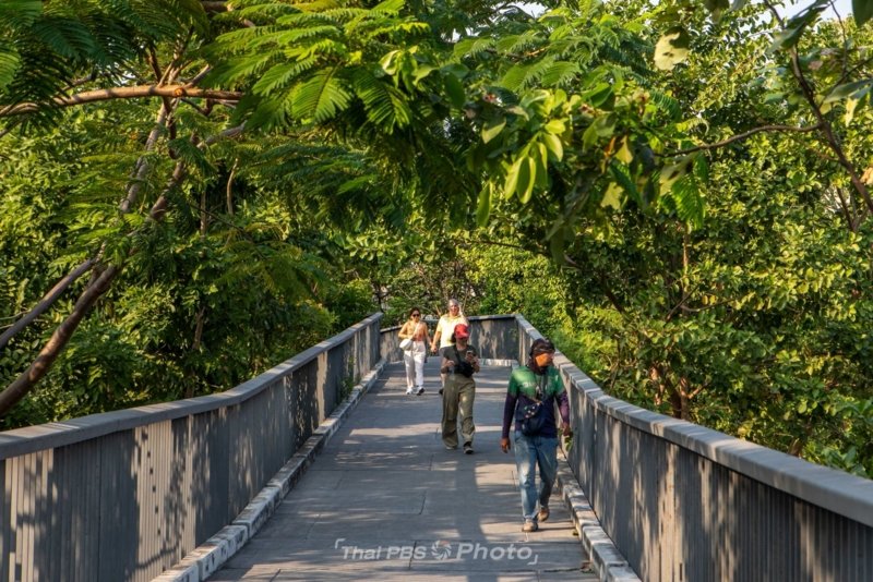 Dust levels drop as winds temporarily disperse PM2.5 in Bangkok