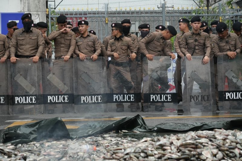 A fishy protest: Affected locals dump blackchin tilapia at Government House