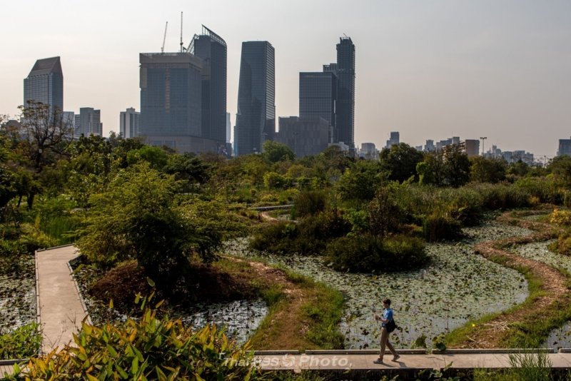 Dust levels drop as winds temporarily disperse PM2.5 in Bangkok