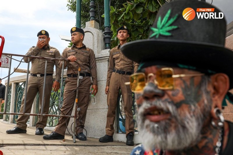 Cannabis supporters against the decriminalisation