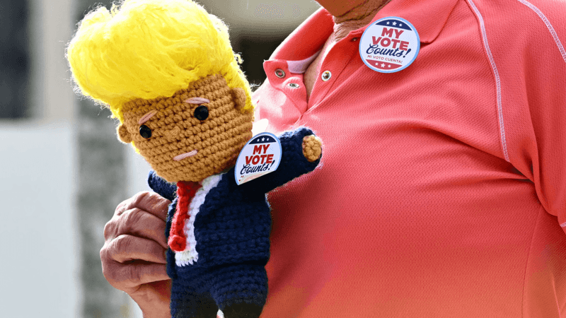 In pictures: US Election 2024