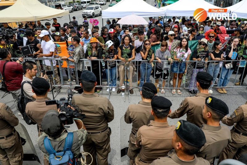 Cannabis supporters against the decriminalisation