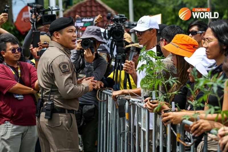 Cannabis supporters against the decriminalisation