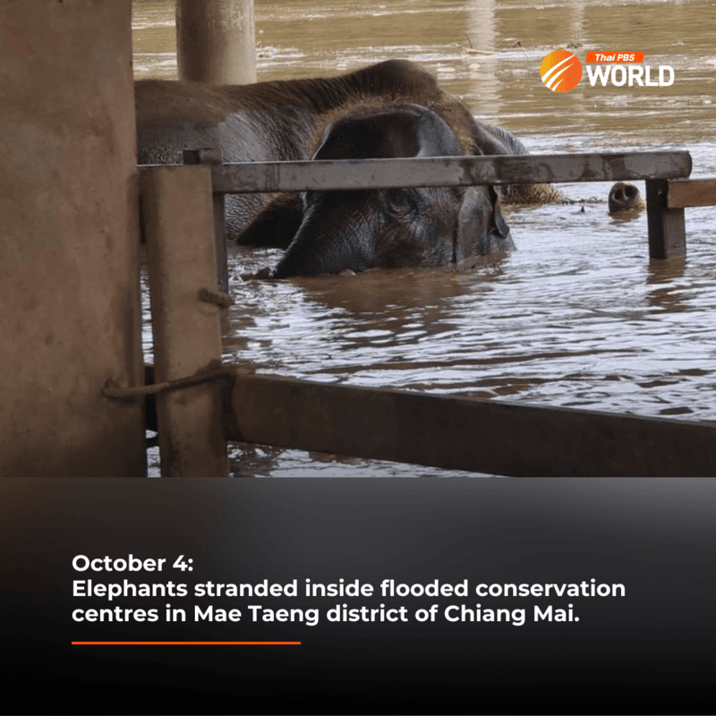 Top shots of 2024 – Floods