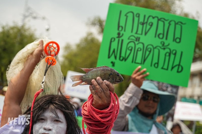A fishy protest: Affected locals dump blackchin tilapia at Government House