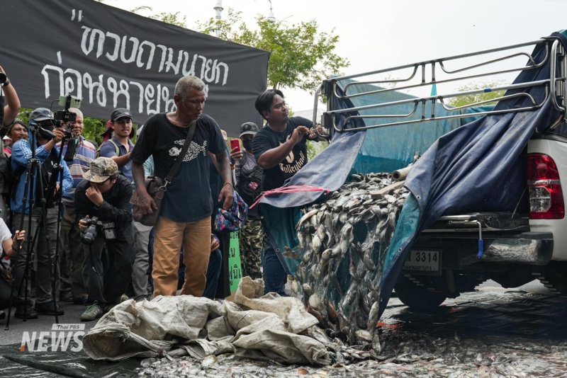 A fishy protest: Affected locals dump blackchin tilapia at Government House