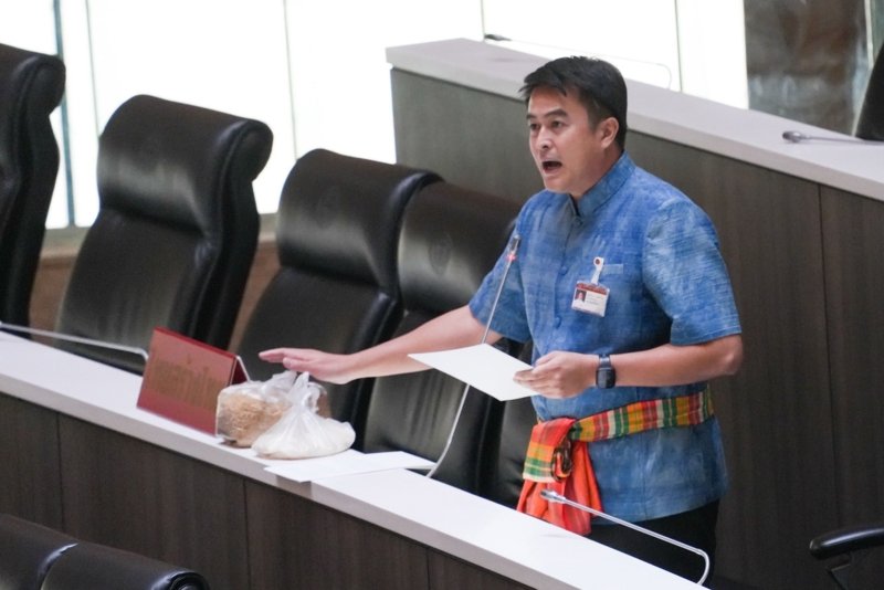 No-confidence debate against PM Paetongtarn - in pictures