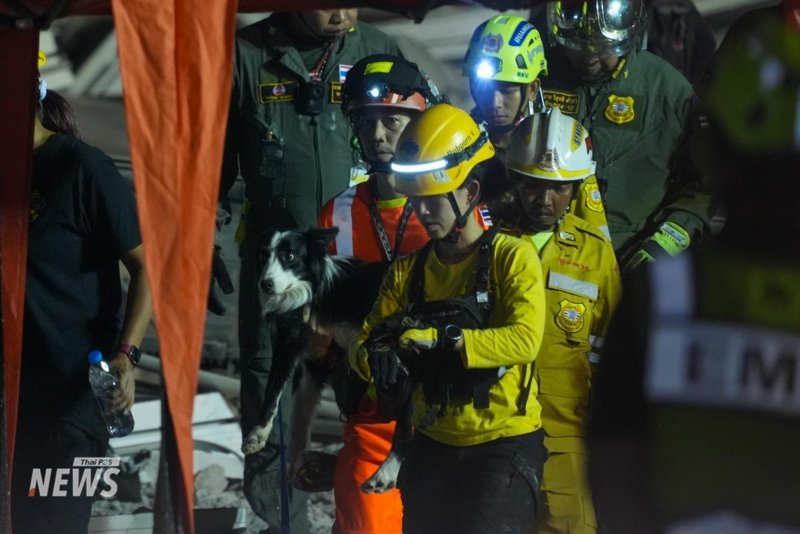Bangkok hit with tremors - the aftermath