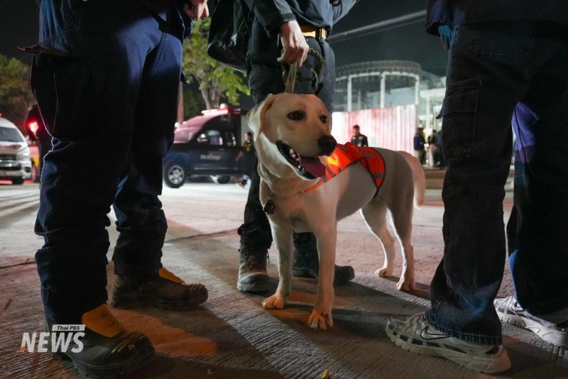 Bangkok hit with tremors - the aftermath