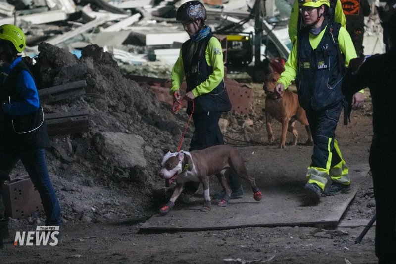 Bangkok hit with tremors - the aftermath