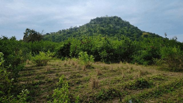 Phetchaburi villagers protest dolomite mining near World Heritage Site