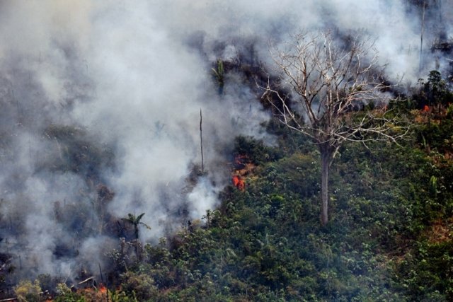 Hundreds of new fires in Brazil as outrage over Amazon grows Hundreds of new fires in Brazil as outrage over Amazon grows