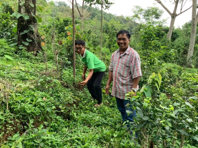 Farmers are reluctant to stop using toxic weed killers Farmers are reluctant to stop using toxic weed killers