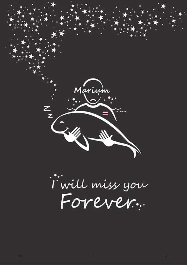 Baby dugong Mariam is dead Baby dugong Mariam is dead