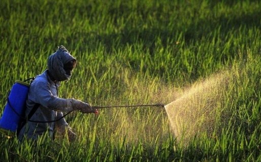 PM not committed to controlling use of three controversial herbicides PM not committed to controlling use of three controversial herbicides