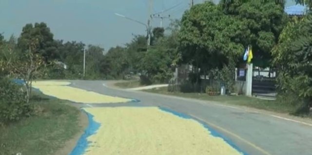 Farmers told not to dry crops on roads following fatal road accident Farmers told not to dry crops on roads following fatal road accident