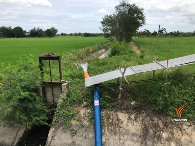 Farmers in Suphan Buri use household waste water to save their crops Farmers in Suphan Buri use household waste water to save their crops