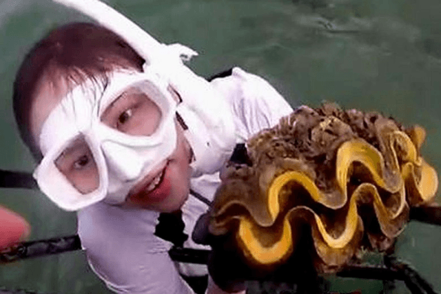 Korean TV viewers dismayed at giant clam catching by ‘Law of the Jungle” crew in Thailand Korean TV viewers dismayed at giant clam catching by ‘Law of the Jungle” crew in Thailand