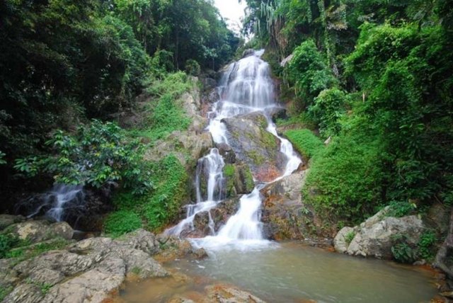 Spanish tourist lost in Samui’s forest found alive Spanish tourist lost in Samui’s forest found alive