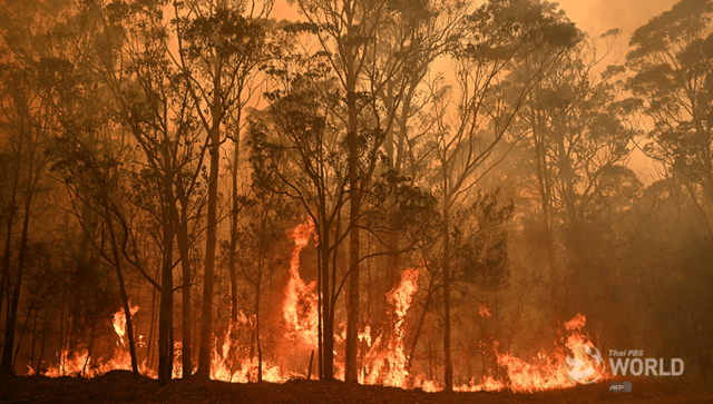 Shock, fear and sadness grip Australia's 'bushfire refugees' Shock, fear and sadness grip Australia's 'bushfire refugees'