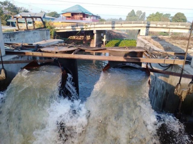 Brackish tap water threatens flora in Government House compound Brackish tap water threatens flora in Government House compound
