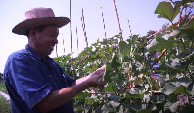 Thailand’s “agriculture 4.0” - a dream come true? Thailand’s “agriculture 4.0” - a dream come true?