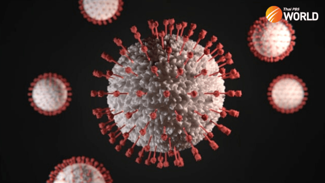 WHO backs antibody treatment for high-risk Covid patients WHO backs antibody treatment for high-risk Covid patients