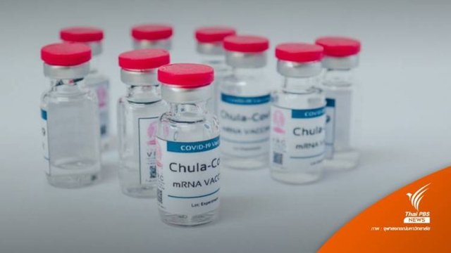Mass production of Thailand’s ChulaCov 19 mRNA vaccine expected early next year Mass production of Thailand’s ChulaCov 19 mRNA vaccine expected early next year