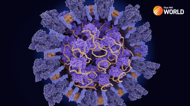 Thailand’s plan to categorise COVID-19 as an endemic disease explained Thailand’s plan to categorise COVID-19 as an endemic disease explained