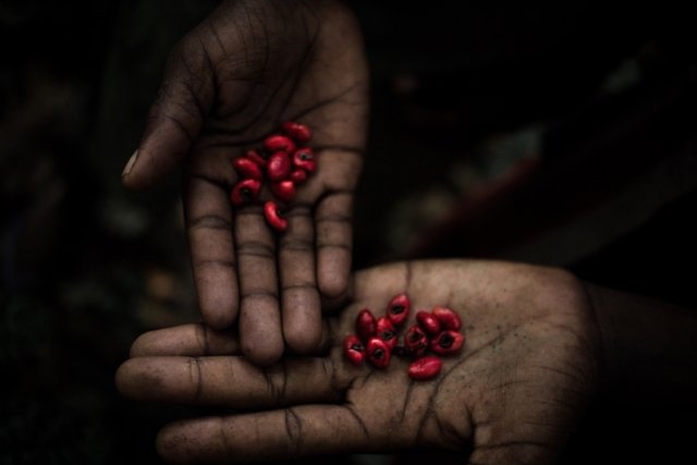 Thai berry pickers and Finnish justice Thai berry pickers and Finnish justice