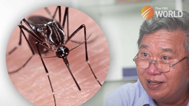 Increase in mosquitoes and mosquito-borne diseases predicted due to global warming Increase in mosquitoes and mosquito-borne diseases predicted due to global warming