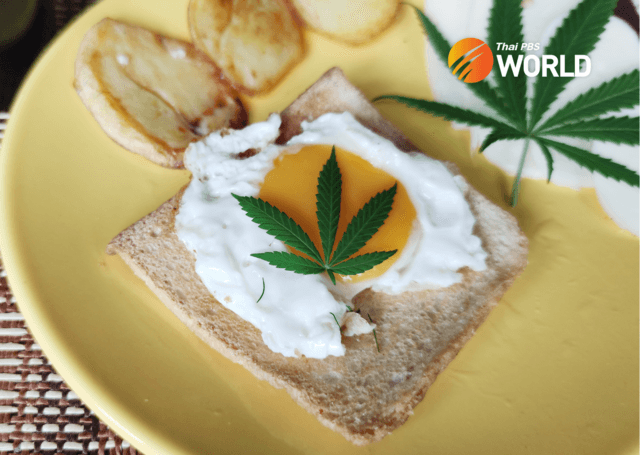 100+ people treated for symptoms possibly caused by cannabis in food and drink in Khon Kaen 100+ people treated for symptoms possibly caused by cannabis in food and drink in Khon Kaen
