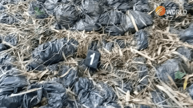 Hmong family of five killed on a farm in Tak Hmong family of five killed on a farm in Tak