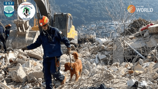 34 Thais, including one deceased, to be flown back from Turkey on Thursday 34 Thais, including one deceased, to be flown back from Turkey on Thursday