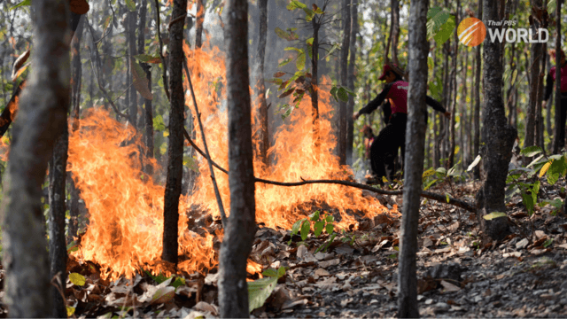 Forest fire control: awareness and cooperation needed Forest fire control: awareness and cooperation needed
