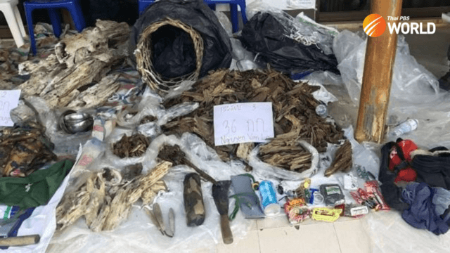Five Vietnamese arrested with about 103kg of Agarwood at border checkpoint Five Vietnamese arrested with about 103kg of Agarwood at border checkpoint