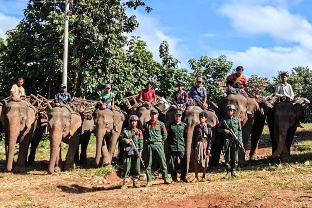 Myanmar communists take in liberated elephants as battle against junta rages Myanmar communists take in liberated elephants as battle against junta rages